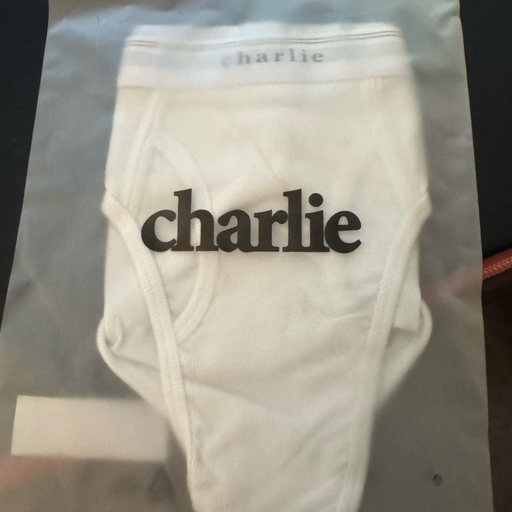 NEW Charlie by Matthew Zink. Original Brief. Size M. White. Ribbed Cotton. - Picture 2 of 3